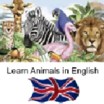 learn animal names in english android application logo